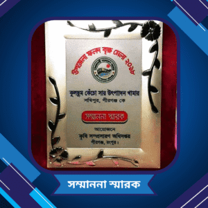 সম্মাননা ২