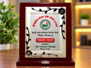 কৃষি সম্প্রসারণ অধিদপ্তর সম্মাননা
