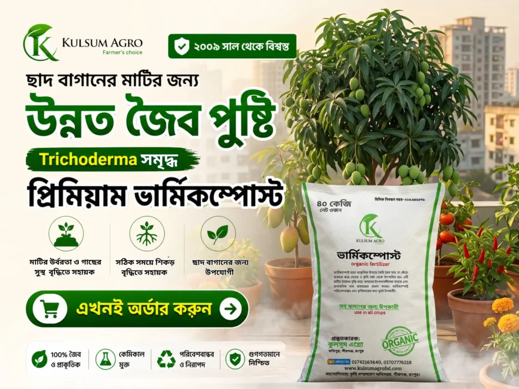 কুলসুম এগ্রোর ভার্মিকম্পোস্ট ব্যবহার করে জমি চাষ