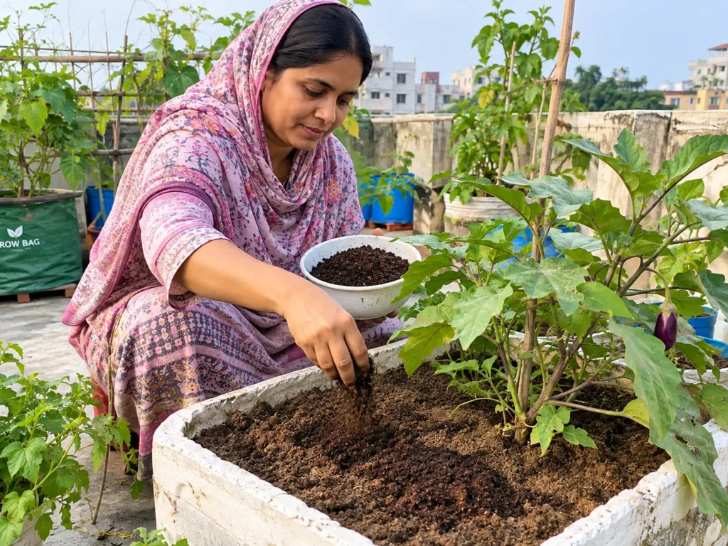 সার দেওয়া