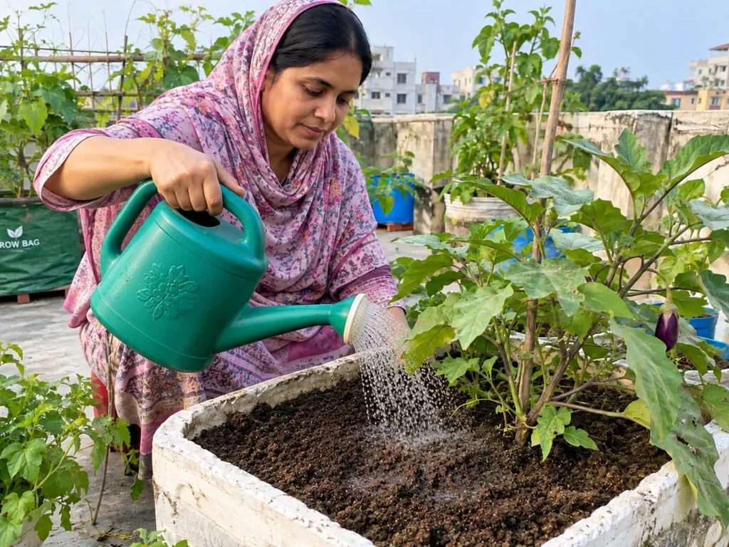 পানি দেওয়া