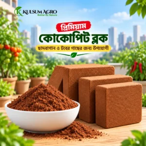 প্রিমিয়াম কোকোপিট ব্লক