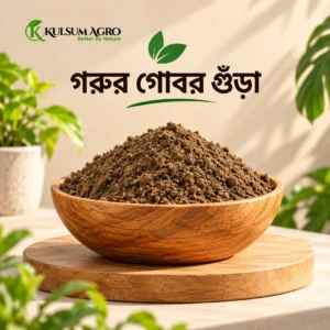 গরুর গোবর গুঁড়া